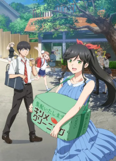 Kirei ni Shite Moraemasu ka
