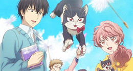 Doukyonin wa Hiza, Tokidoki, Atama no Ue. Episode 09 Vostfr