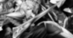 Tsuihou Sareta Tensei Juukishi wa Game Chishiki de Musou Suru Episode 08 Vostfr