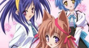 Tayutama -Kiss on my Deity- Episode 01 Vostfr